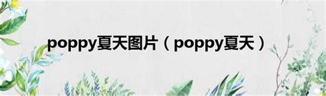 poppy夏天图片（poppy夏天）_华夏网
