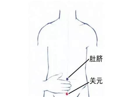 小腹位置图解图片