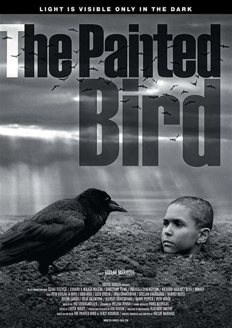 《被涂污的鸟》-高清电影-完整版在线观看