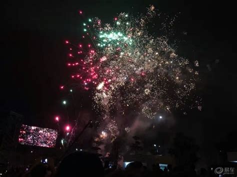 烟花易逝图片
