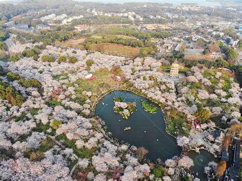 【高清图】武汉东湖落雁景区-中关村在线摄影论坛