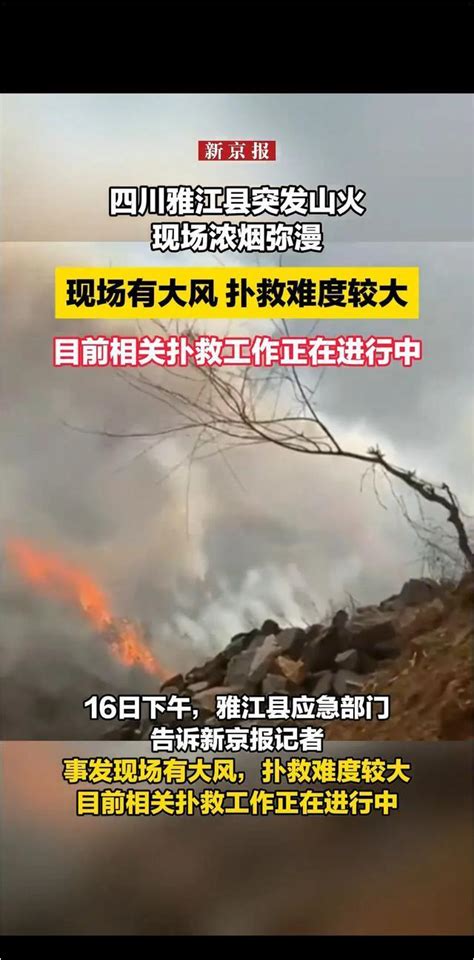 四川雅江发生山火：投入现场扑救力量735人，无人员伤亡