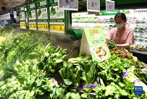 合肥菜价上涨可启动临时惠民菜篮子 前10个月本地蔬菜产量超223万吨_手机新浪网