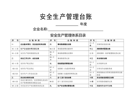 安全生产费用使用台账_word文档在线阅读与下载_免费文档