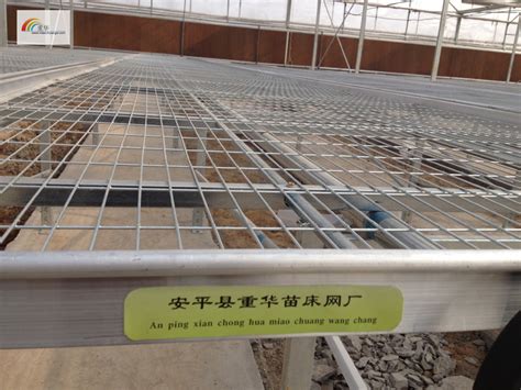 南宁温室种植热镀锌移动苗床苗床网使用优势-安平县汉明育苗设备厂