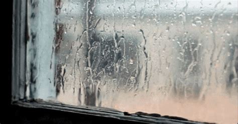 窗外下雨声_东南亚的雨_新浪博客