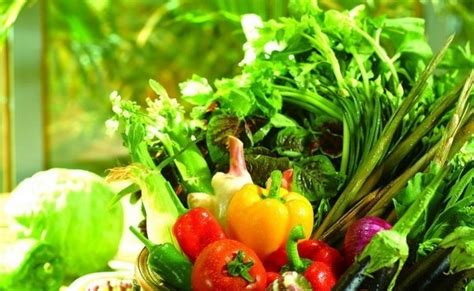 为什么吃有机蔬菜更健康？