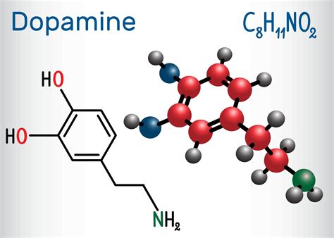 分泌多巴胺是什么意思（多巴胺是干啥的） – 碳资讯