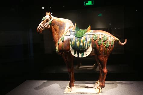 传统的未来：西安美术学院藏民间美术品展 - 每日环球展览 - iMuseum