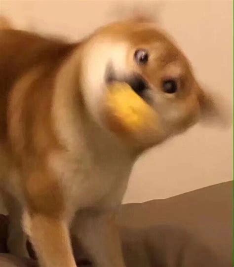 非主流头像多人头像