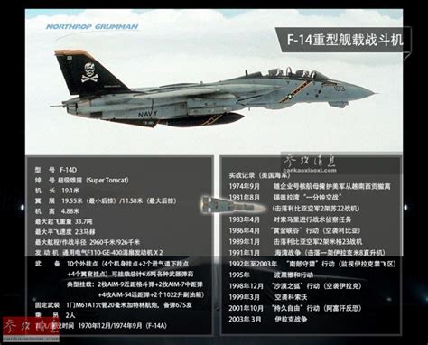雄猫永恒 壮志凌云！F-14舰载战斗机的传奇故事（9）-千龙网·中国首都网