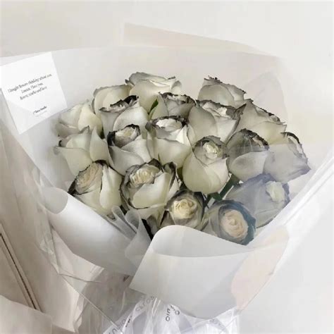 19朵黑骑士玫瑰花束 如图包装 花材新鲜订单详情-花娃-中国最大花店加盟平台