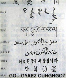 中国少数民族语言文字图册_360百科