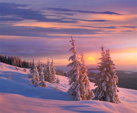 冬天的冰雪风景高清图片下载-正版图片500622169-摄图网