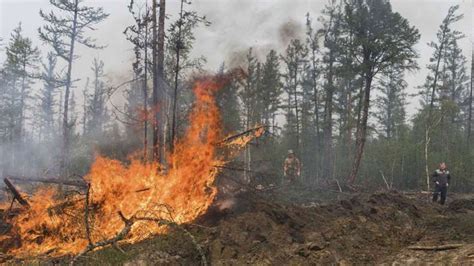 俄罗斯西伯利亚山火持续，过火面积超150万公顷，空军支援灭火_凤凰网视频_凤凰网