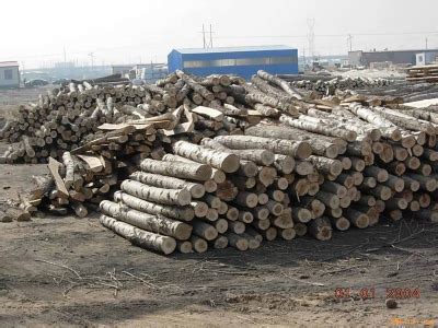 锯木厂准备交付的成堆的新切割原木高清图片下载-正版图片504331767-摄图网
