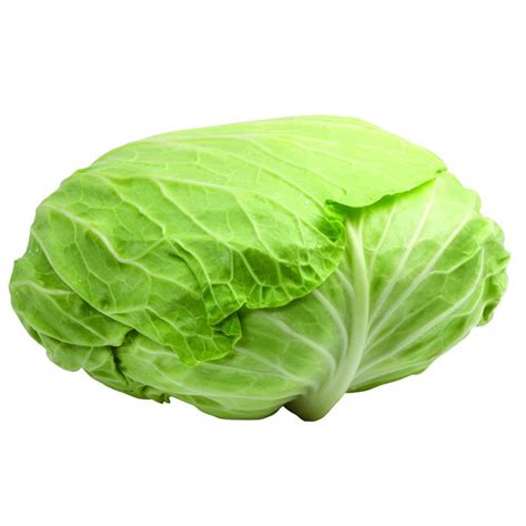 甘蓝菜图片