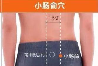 胃俞的准确位置图图片