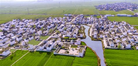 河南省乡村振兴局-浚县：以高质量发展为底色 绘就乡村振兴新图景
