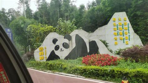 雅安：市印发建设世界大熊猫文化旅游重要目的地实施方案，推动“熊猫+旅游”融合发展！-晟景文旅
