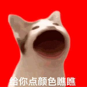 抖音狐狸表情包图片