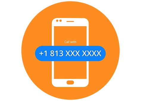 813 Area Code: Everything to Know about Tampa Local Numbers