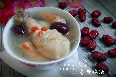 老母鸡汤的做法_菜谱_香哈网