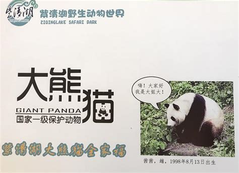 原创｜南京汤山紫清湖野生动物世界一次性落户10只熊猫 尚属国内首例|汤山|落户_新浪新闻