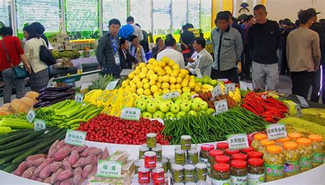 江西广昌：柑橘特色产业助力乡村振兴-人民图片网