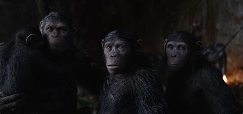好莱坞科幻大片《猩球崛起2》，人猿斗争再升级，打斗精彩！_电影_高清完整版视频在线观看_腾讯视频