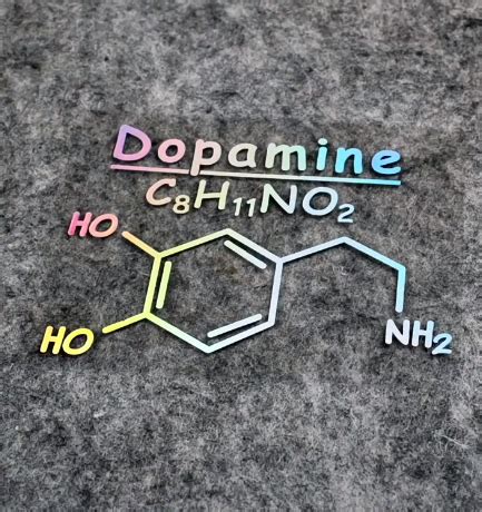 多巴胺和内啡肽究竟有什么区别?