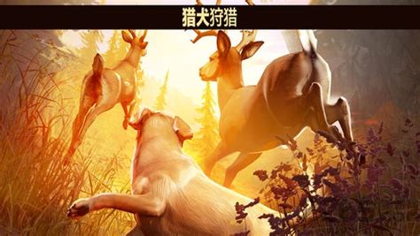 猎鹿人游戏完整版下载-猎鹿人游戏完整版最新版下载安装-1617手游网