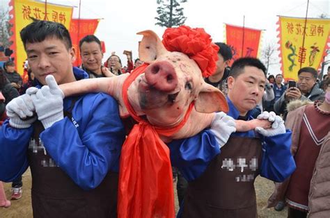 河南一古镇办年猪节 众多摄影师围着一头猪拍照-大河报网