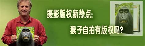 猴子非主流自拍头像