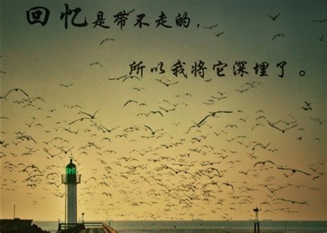 描写桂林山水美的句子