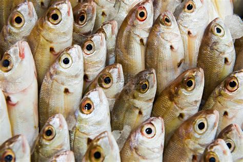 颠覆！自贡超市里惊现美味鲜活生猛的海鲜，即买即吃...