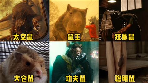 这六部电影中的变异老鼠，你觉得哪个更厉害，大仓鼠还可发射炮弹_腾讯视频