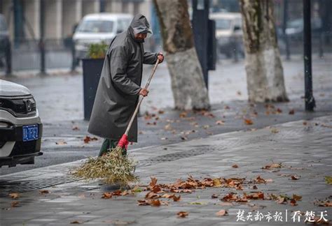 “叶落归根”冬日扫落叶志愿服务活动结束-北京语言大学新闻网