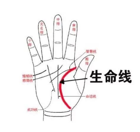 【手相】【图】手相看右手还是左手 教你用科学来理解玄学_伊秀风水|yxlady.com