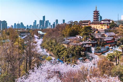 南京哪里樱花好看 南京看樱花最好的地方 - 环旅网