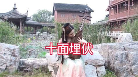 琵琶的指法介绍和基本结构-北京程一鸣音乐工作室