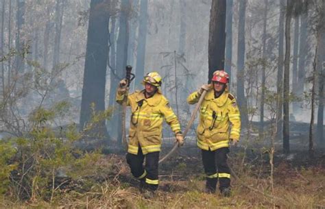 澳洲大火烧了4个月后，新西兰也着火了_凤凰网