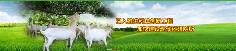 广西畜牧研究所 - 科技创新服务平台