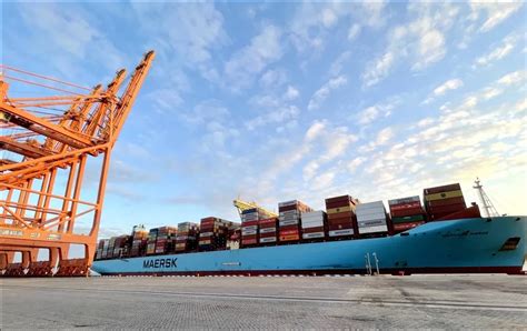 【福建港航海事】厦门港又一码头迎来20万吨级集装箱船靠泊作业-媒体视角