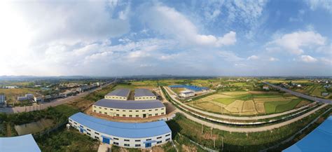 湖北省京山市：聚焦“五链”融合 打造现代农业产业园发展新引擎