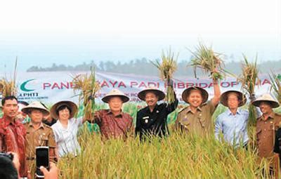 什么叫籼型杂交水稻，籼型杂交水稻的意义-农百科