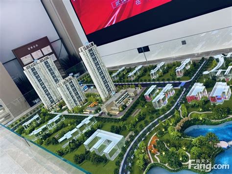 想看武汉东湖高新区楼盘的最新现场实景，选房一定要看！-武汉房天下