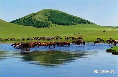最新2021年内蒙古自治区各城市GDP排名：鄂尔多斯领跑，破__财经头条
