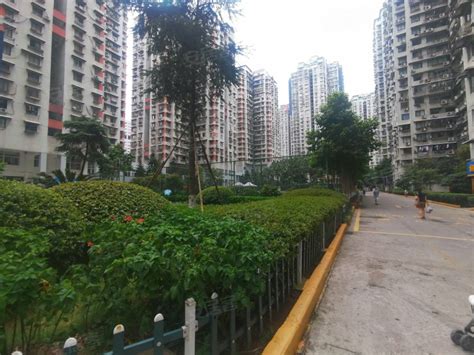 深圳加洲花园怎么样 房价走势、户型分析-深圳房天下