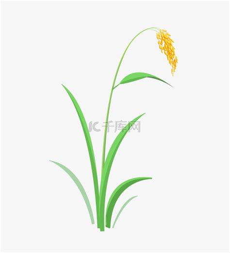 植物绿色稻花素材图片免费下载-千库网